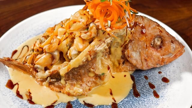Red Snapper.